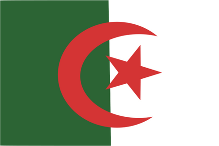 Pannello di ricerca di mercato in Algeria