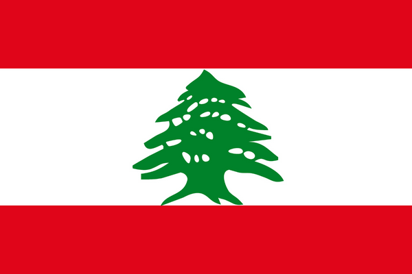 Panele online e mobile in Líbano