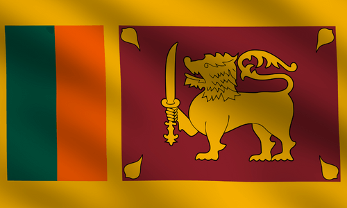 Pannello in linea in Sri Lanka