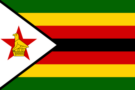 Panele online e mobile in Zimbabwe
