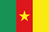 Pannello di ricerca di mercato online in Camerun