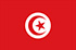 Panele online e mobile in Túnez