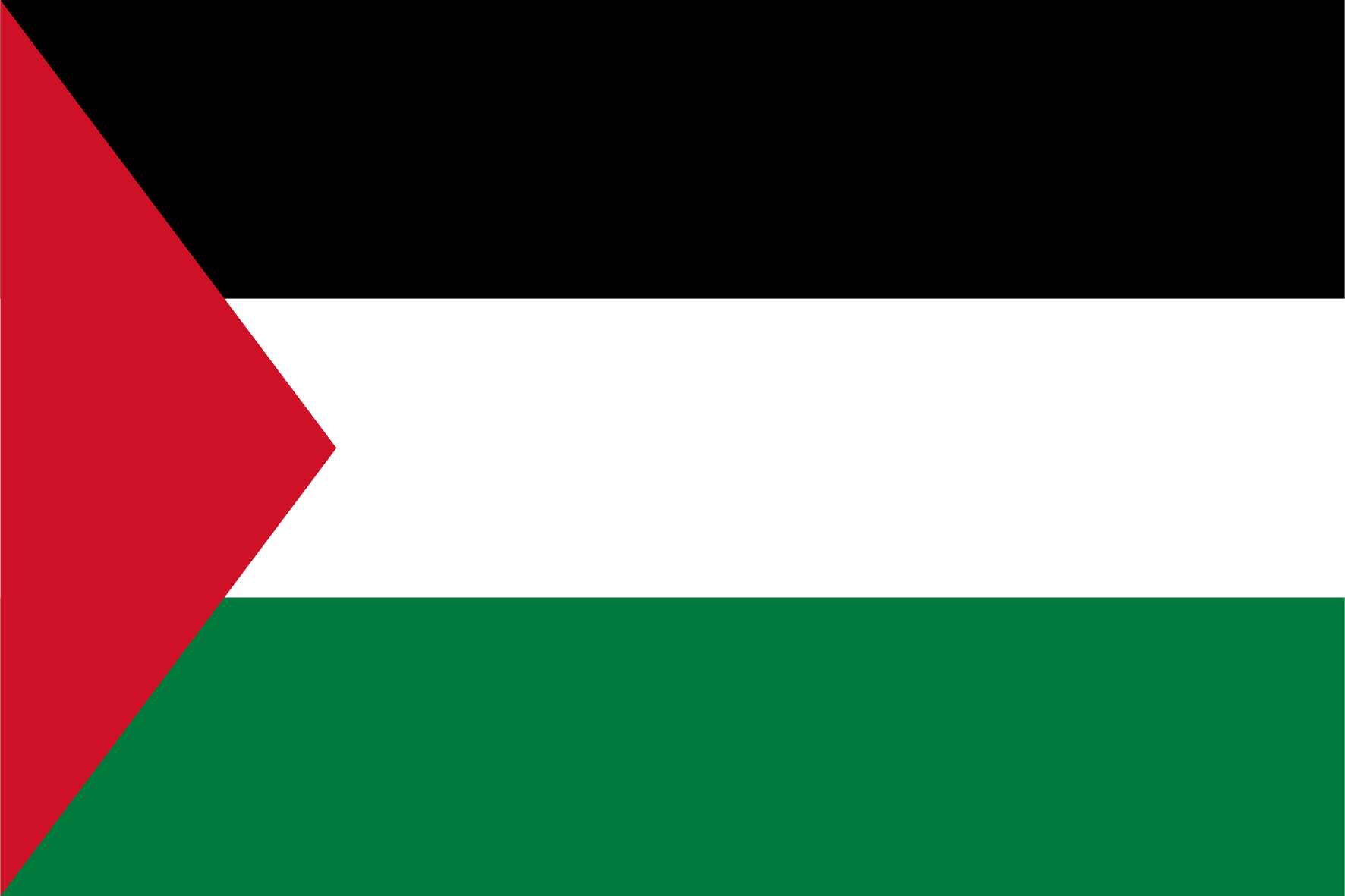 Pannello di ricerca di mercato in Palestina