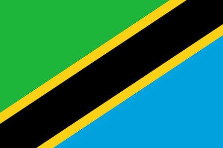 Pannello di ricerca di mercato online in Tanzania