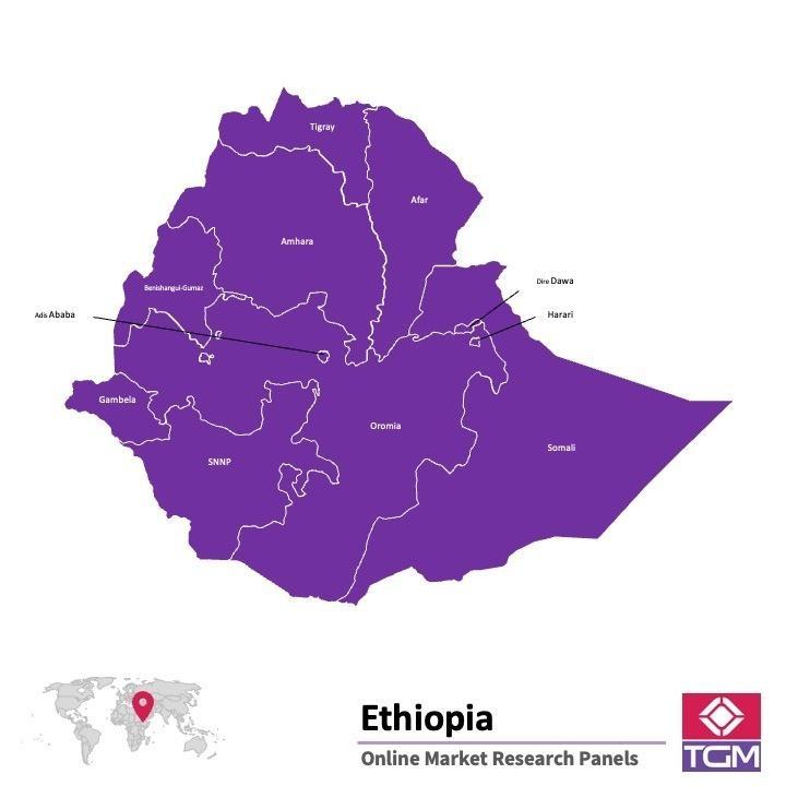 Panel online in Etiopia | Ricerche di mercato in Etiopia