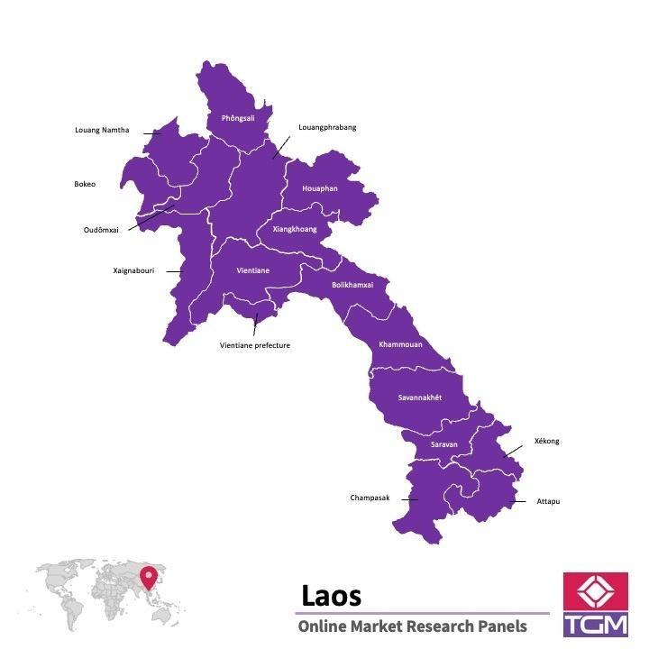 Panel online in Laos | Ricerche di mercato in Laos