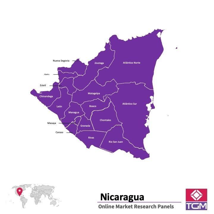 Panel online in Nicaragua | Ricerche di mercato in Nicaragua