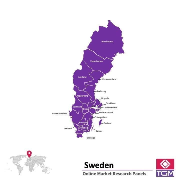 Panel online in Svezia | Ricerche di mercato in Svezia