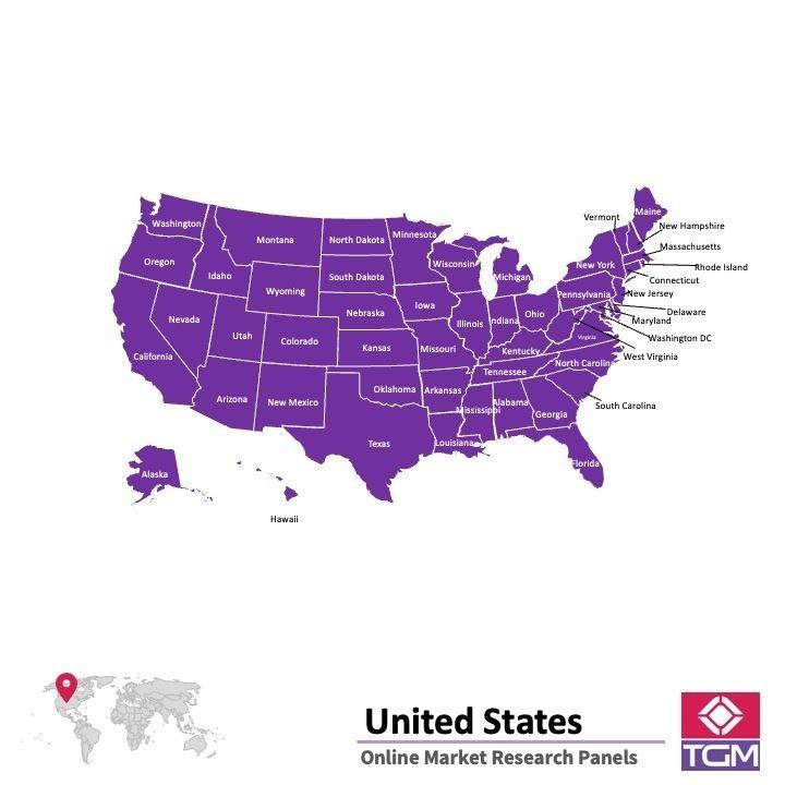 Panel online in USA | Ricerche di mercato in USA