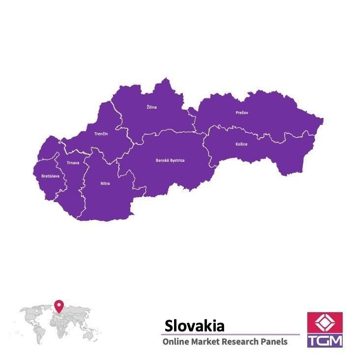 Panel online in Slovacchia |  Ricerche di mercato in Slovacchia