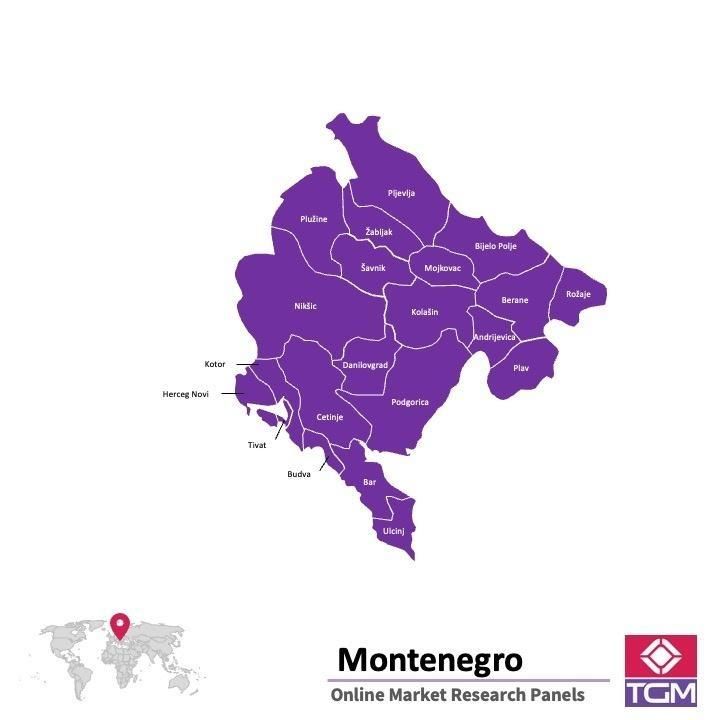 Panel online in Montenegro |  Ricerche di mercato in Montenegro