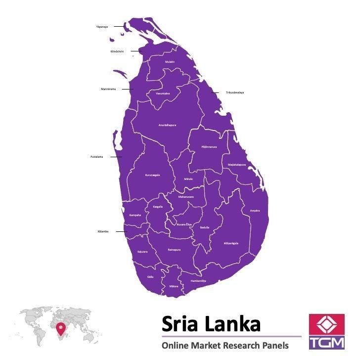 Panel online in Sri Lanka |  Ricerche di mercato in Sri Lanka