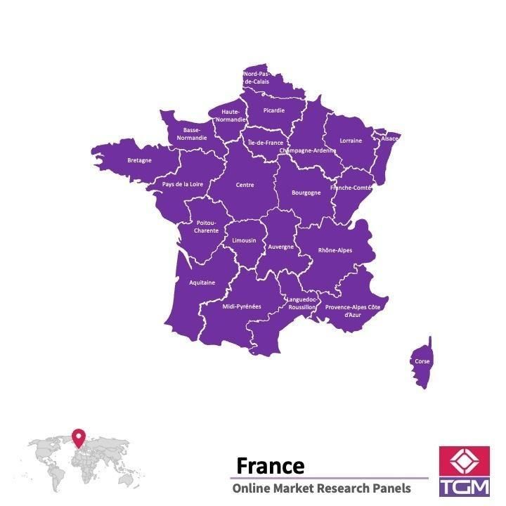 Panel online in Francia |  Ricerche di mercato in Francia