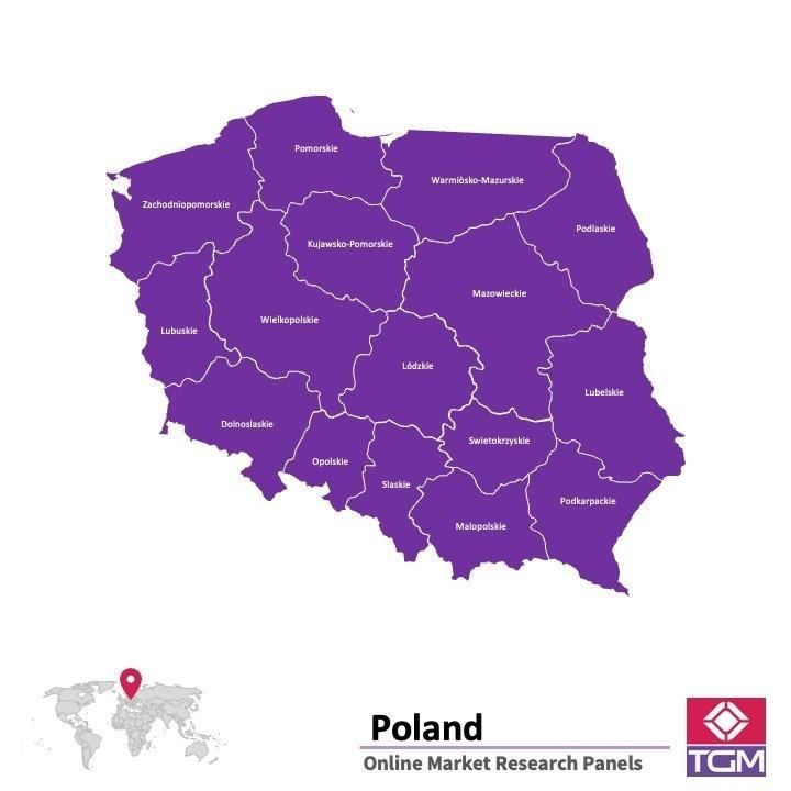 Panel online in Polonia |  Ricerche di mercato in Polonia