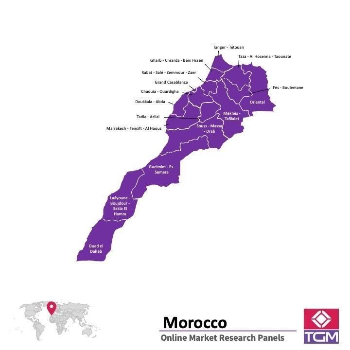Panel online in Marruecos |  Ricerche di mercato in Marruecos