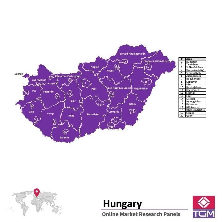 Panel online in Ungheria |  Ricerche di mercato in Ungheria