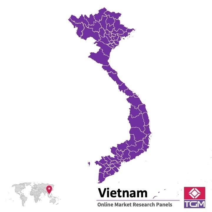 Panel online in Vietnam |  Ricerche di mercato in Vietnam