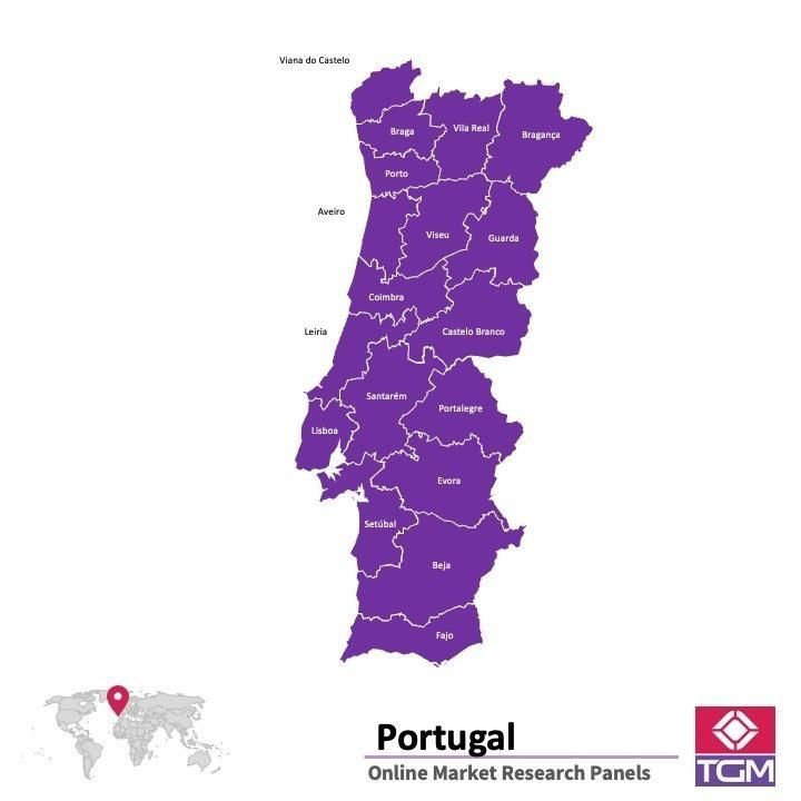 Panel online in Portogallo |  Ricerche di mercato in Portogallo