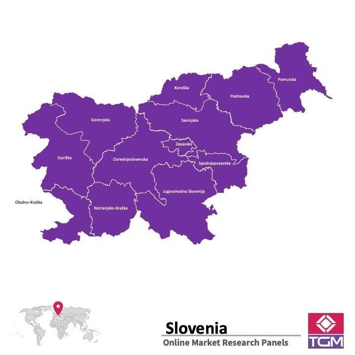Panel online in Slovenia |  Ricerche di mercato in Slovenia