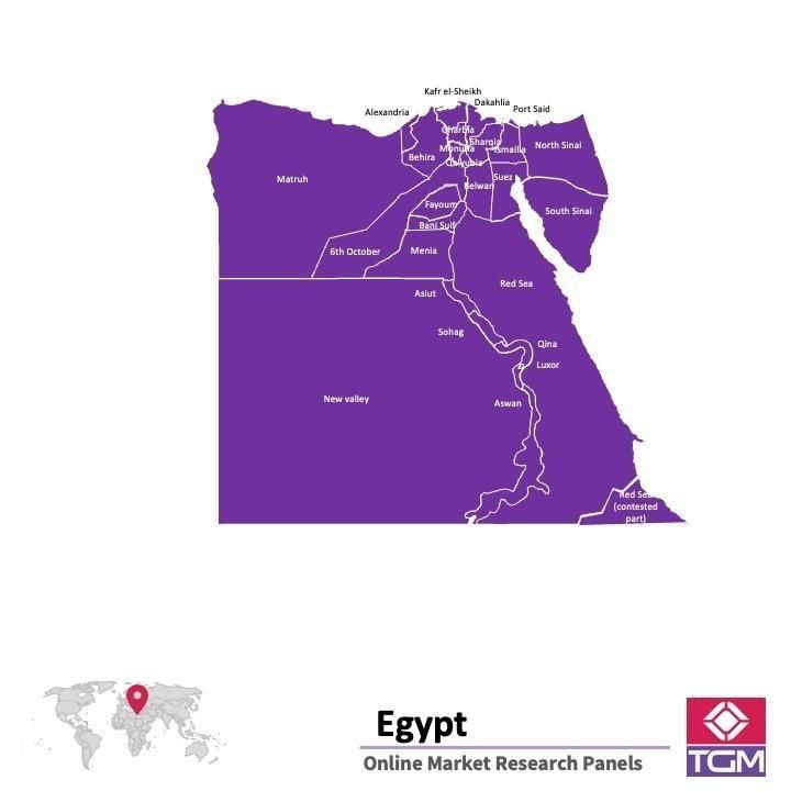 Panel online in Egipto |  Ricerche di mercato in Egipto