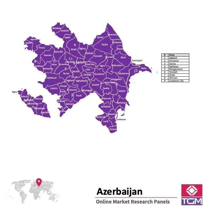 Panel online in Azerbaigian |  Ricerche di mercato in Azerbaigian