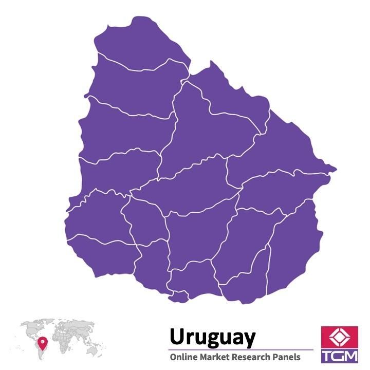 Panel online in Uruguay |  Ricerche di mercato in Uruguay
