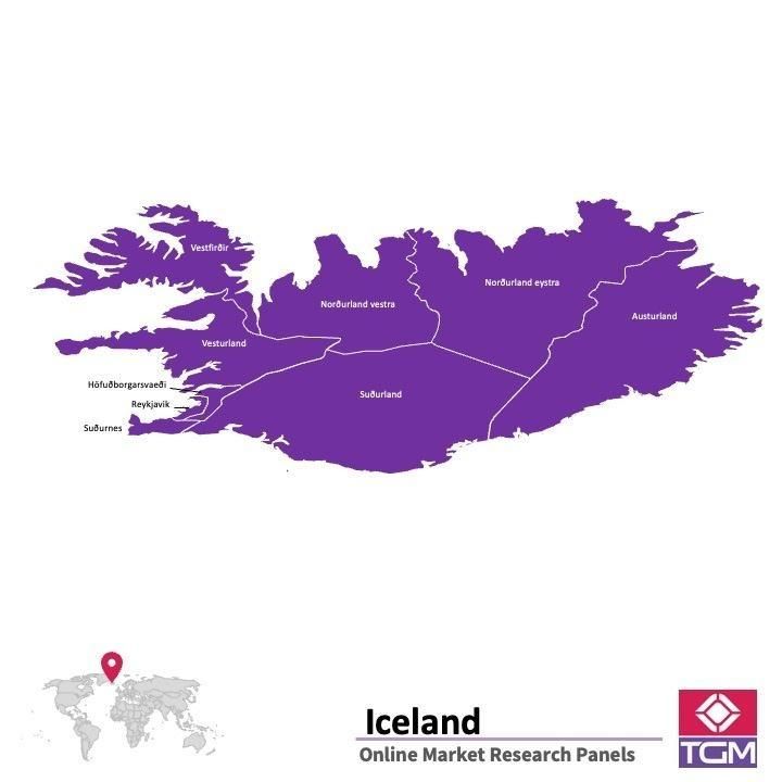 Panel online in Islanda |  Ricerche di mercato in Islanda