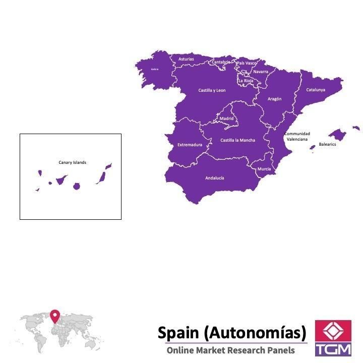 Panel online in Spagna |  Ricerche di mercato in Spagna