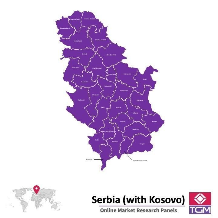 Panel online in Serbia |  Ricerche di mercato in Serbia
