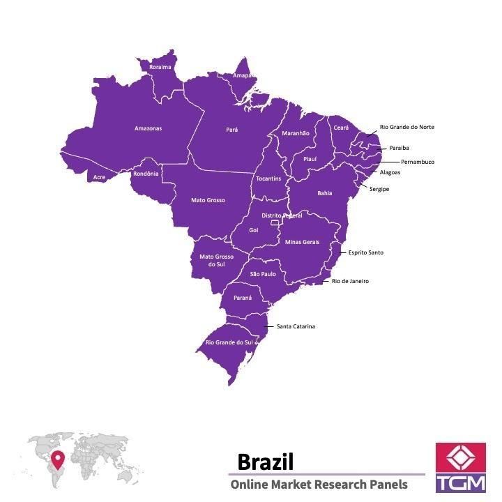 Panel online in Brasile |  Ricerche di mercato in Brasile