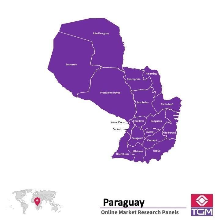Panel online in Paraguay |  Ricerche di mercato in Paraguay