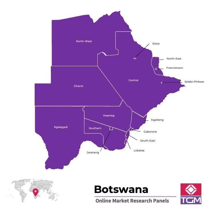 Panel online in Botswana |  Ricerche di mercato in Botswana