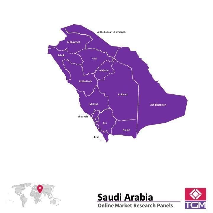 Panel online in Arabia Saudita |  Ricerche di mercato in Arabia Saudita