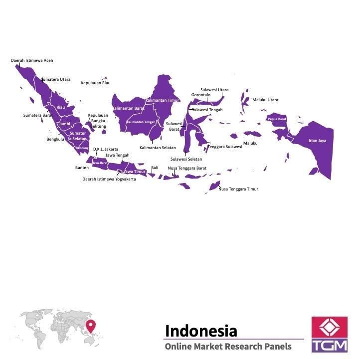 Panel online in Indonesia |  Ricerche di mercato in Indonesia