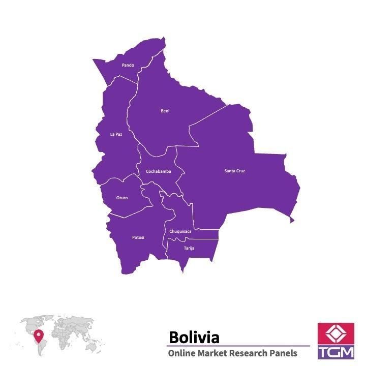 Panel online in Bolivia |  Ricerche di mercato in Bolivia