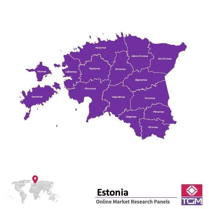 Panel online in Estonia |  Ricerche di mercato in Estonia