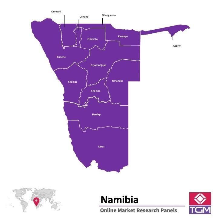 Panel online in Namibia |  Ricerche di mercato in Namibia