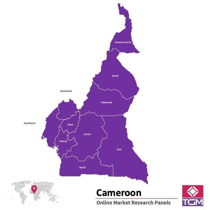 Panel online in Camerun |  Ricerche di mercato in Camerun