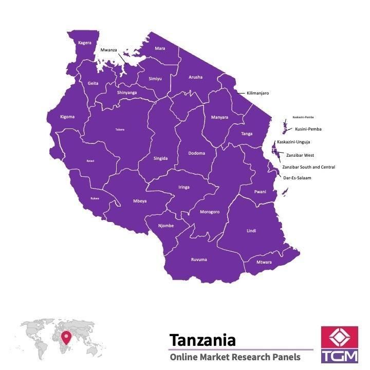 Panel online in Tanzania |  Ricerche di mercato in Tanzania