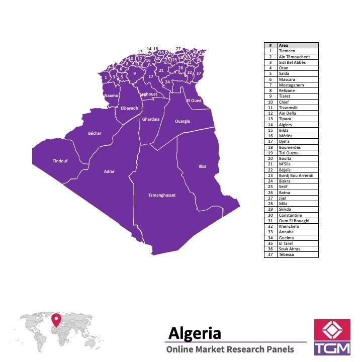 Panel online in Algeria |  Ricerche di mercato in Algeria