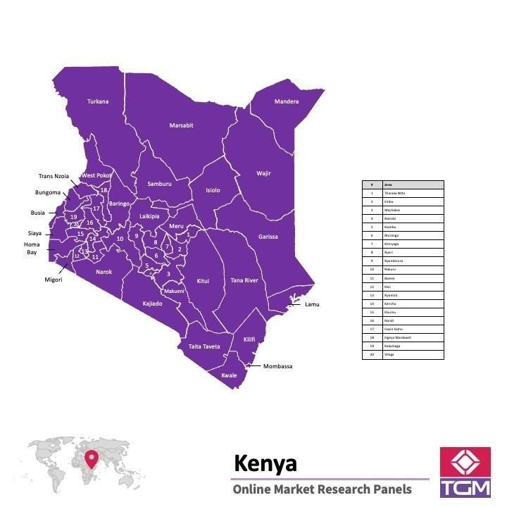 Panel online in Kenia |  Ricerche di mercato in Kenia