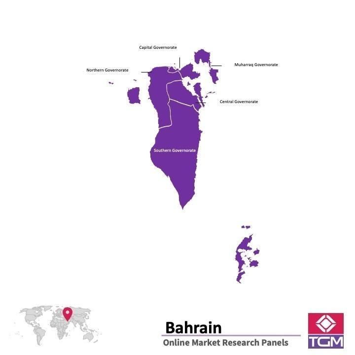 Panel online in Bahréin |  Ricerche di mercato in Bahréin
