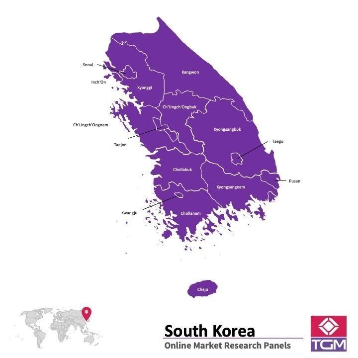 Panel online in Corea del Sud |  Ricerche di mercato in Corea del Sud