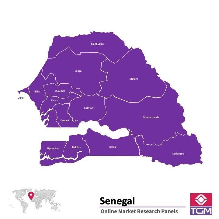 Panel online in Senegal |  Ricerche di mercato in Senegal