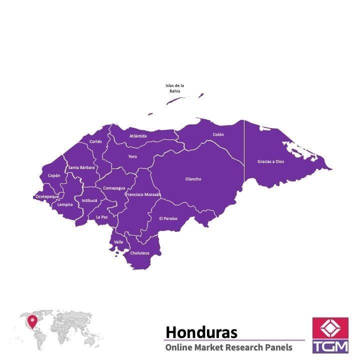 Panel online in Honduras |  Ricerche di mercato in Honduras