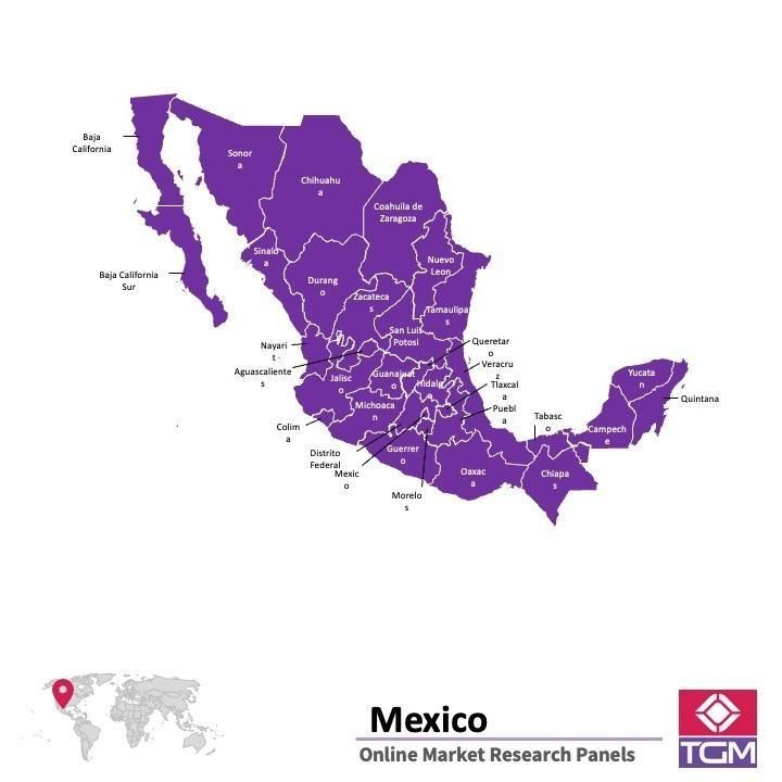 Panel online in Messico |  Ricerche di mercato in Messico