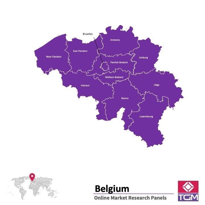 Panel online in Belgio |  Ricerche di mercato in Belgio