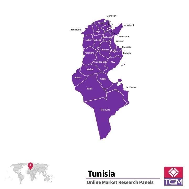 Panel online in Túnez |  Ricerche di mercato in Túnez