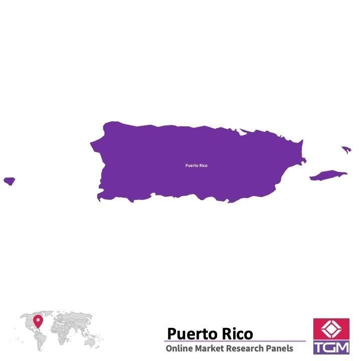Panel online in Porto Rico |  Ricerche di mercato in Porto Rico