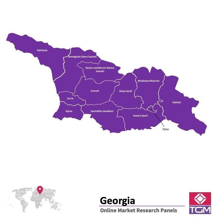 Panel online in Georgia |  Ricerche di mercato in Georgia